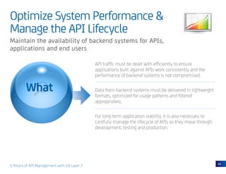 5 Pillars of API Management | PDF