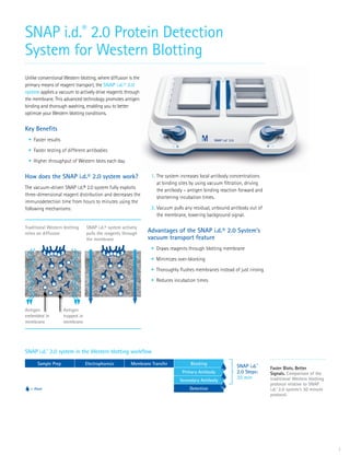 MilliporeSigma SNAP i.d. Protein Detection System: Blot Holders:Western