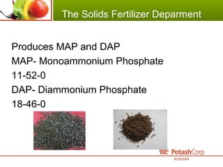 The Solids Fertilizer Deparment
Produces MAP and DAP
MAP- Monoammonium Phosphate
11-52-0
DAP- Diammonium Phosphate
18-46-0
 