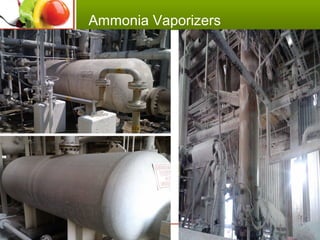 Ammonia Vaporizers
 