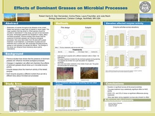 `
Effects of Dominant Grasses on Microbial Processes
Robert Harris III, Dan Hernandez, Corina Perez, Laura Freymiller, and Julia Reich
Biology Department, Carleton College, Northfield, MN USA
Abstract
• Restoration of prairies throughout the Midwest of the United
States has become a major topic of interest in recent years. The
major question that has arisen is: What species should be
included in restorations? In this study, we look at how dominant
tall grass, Andropogon gerardii and Sorgastrum nutans, affect
microbial processes. Previous studies have shown that the
presence of dominant grasses can influence ecological
processes. Soil cores were taken from 48 plots with a grass
treatment, a soil treatment, a combination of grass and soil
treatment and a control plot. We conducted microbial enzyme
assays on soil samples to evaluate the effects. The findings of
this study can influence future decisions about prairie
restorations.
Background
• Previous studies have shown that the presence of dominant
grasses can influence microbial ecological processes
• Changes in vegetation can affect soil chemistry thus effects
of dominant grasses should show up in microbial enzyme
activity
• Enzyme assays show the maximum activity of the tested
enzyme
• Each enzyme acquires a different nutrient thus can tell a
different story about microbial soil processes
Study Area
Methods
Grass treatment affected NAG activity, but not other
enzymes
Elevation affected enzyme activity
Conclusions
• Elevation is significant across all the enzyme activities
• The grass treatment has a statistically significant effect on NAG
activity
• PHOS, XYL, and CELLO show no significant differences among
treatments
• Other data taken during vegetation surveys also showed no effect
Plot design
• Each plot has 4 subplots with a different treatment (refer to Table 1 for
treatments)
• The grass treatment includes the two dominant grasses during planting
• The subplots are divided into a grid like pattern for vegetation
surveying
• Soil cores were taken arbitrarily in the middle of each plot. The green
line demarcates the sample area
Treatments
Soil (S) Grass (G) GS (Grass+ Soil) Control (C)
Table 1. The four treatments used across each plot
Subplot
Acknowledgements
Figure 1. Shows the arithmetic mean of each enzyme activity across the four treatments. Grass
treatment is significant for NAG activity. Refer to table 1 for treatment codes.
Enzyme activities across elevations
Figure 2. Shows the mean activity of each enzyme across the three elevations. Elevation is significant
across all four enzyme activities. None of the other treatments are significant.
• Summer Science Fellowship
• North Star Alliance
• Carleton Arb staff
h m l
Andropogon gerardii Sorghastrum nutans
 