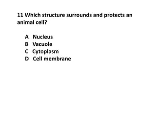 11 Which structure surrounds and protects an
animal cell?
A Nucleus
B Vacuole
C Cytoplasm
D Cell membrane
 