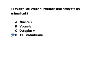 11 Which structure surrounds and protects an
animal cell?
A Nucleus
B Vacuole
C Cytoplasm
D Cell membrane
 