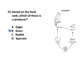 15. Based on the food
web, which of these is
a producer?
A Eagle
B Grass
C Rabbit
D Sparrow
 