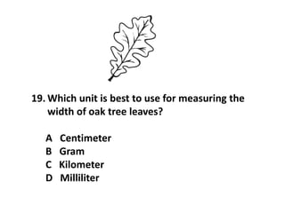 19. Which unit is best to use for measuring the
width of oak tree leaves?
A Centimeter
B Gram
C Kilometer
D Milliliter
 