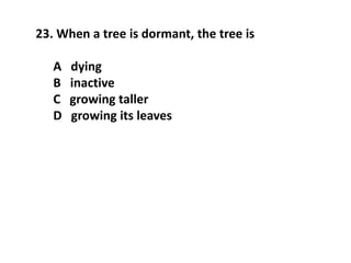 23. When a tree is dormant, the tree is
A dying
B inactive
C growing taller
D growing its leaves
 