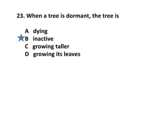 23. When a tree is dormant, the tree is
A dying
B inactive
C growing taller
D growing its leaves
 