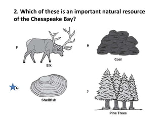 2. Which of these is an important natural resource
of the Chesapeake Bay?
 