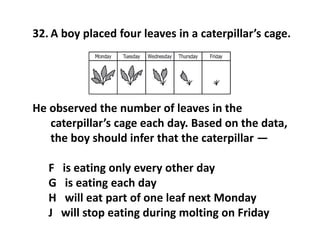 32. A boy placed four leaves in a caterpillar’s cage.
He observed the number of leaves in the
caterpillar’s cage each day. Based on the data,
the boy should infer that the caterpillar —
F is eating only every other day
G is eating each day
H will eat part of one leaf next Monday
J will stop eating during molting on Friday
 