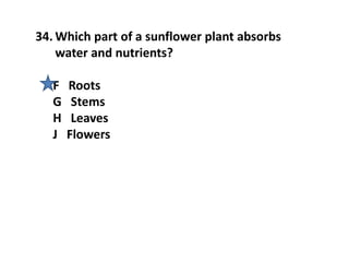 34. Which part of a sunflower plant absorbs
water and nutrients?
F Roots
G Stems
H Leaves
J Flowers
 