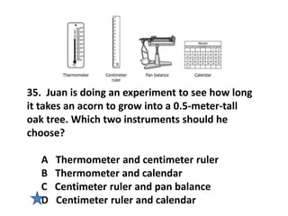 35. Juan is doing an experiment to see how long
it takes an acorn to grow into a 0.5-meter-tall
oak tree. Which two instruments should he
choose?
A Thermometer and centimeter ruler
B Thermometer and calendar
C Centimeter ruler and pan balance
D Centimeter ruler and calendar
 