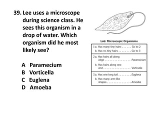 39. Lee uses a microscope
during science class. He
sees this organism in a
drop of water. Which
organism did he most
likely see?
A Paramecium
B Vorticella
C Euglena
D Amoeba
 