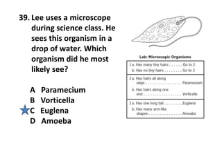 39. Lee uses a microscope
during science class. He
sees this organism in a
drop of water. Which
organism did he most
likely see?
A Paramecium
B Vorticella
C Euglena
D Amoeba
 