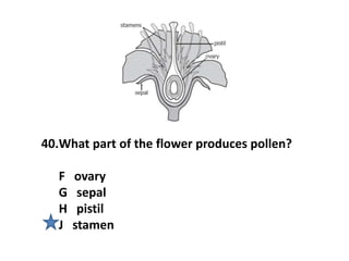 40.What part of the flower produces pollen?
F ovary
G sepal
H pistil
J stamen
 
