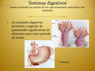 Sistemas digestivos
foram evoluindo no sentido de um aproveitamento mais eficaz dos
alimentos
 As cavidades digestivas
permitem a ingestão de
quantidades significativas de
alimentos num curto período
de tempo
estômago
Direitos reservados a Cristina Pedrosa
 