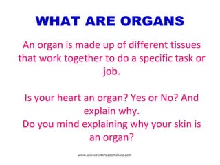 WHAT ARE ORGANS An organ is made up of different tissues that work together to do a specific task or job. Is your heart an organ? Yes or No? And explain why. Do you mind explaining why your skin is an organ? www.sciencetutors.zoomshare.com 