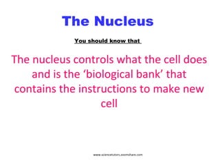 The Nucleus  The nucleus controls what the cell does and is the ‘biological bank’ that contains the instructions to make new cell You should know that  www.sciencetutors.zoomshare.com 