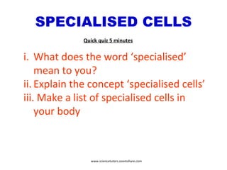 SPECIALISED CELLS What does the word ‘specialised’ mean to you? Explain the concept ‘specialised cells’ Make a list of specialised cells in your body Quick quiz 5 minutes www.sciencetutors.zoomshare.com 