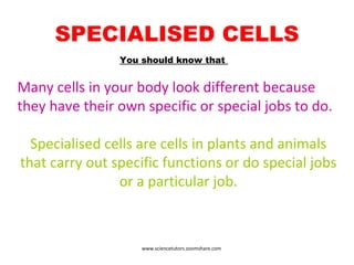 SPECIALISED CELLS Many cells in your body look different because they have their own specific or special jobs to do. Specialised cells are cells in plants and animals that carry out specific functions or do special jobs or a particular job. You should know that  www.sciencetutors.zoomshare.com 
