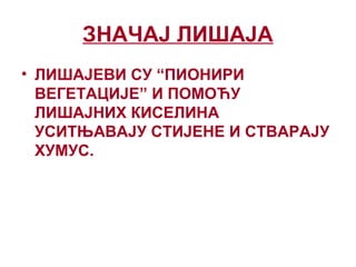 ЗНАЧАЈ ЛИШАЈА
• ЛИШАЈЕВИ СУ “ПИОНИРИ
ВЕГЕТАЦИЈЕ” И ПОМОЋУ
ЛИШАЈНИХ КИСЕЛИНА
УСИТЊАВАЈУ СТИЈЕНЕ И СТВАРАЈУ
ХУМУС.
 
