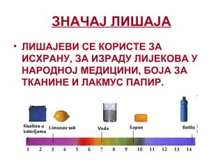 ЗНАЧАЈ ЛИШАЈА
• ЛИШАЈЕВИ СЕ КОРИСТЕ ЗА
ИСХРАНУ, ЗА ИЗРАДУ ЛИЈЕКОВА У
НАРОДНОЈ МЕДИЦИНИ, БОЈА ЗА
ТКАНИНЕ И ЛАКМУС ПАПИР.
 