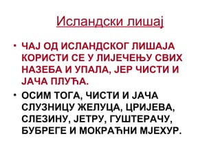 Исландски лишај
• ЧАЈ ОД ИСЛАНДСКОГ ЛИШАЈА
КОРИСТИ СЕ У ЛИЈЕЧЕЊУ СВИХ
НАЗЕБА И УПАЛА, ЈЕР ЧИСТИ И
ЈАЧА ПЛУЋА.
• ОСИМ ТОГА, ЧИСТИ И ЈАЧА
СЛУЗНИЦУ ЖЕЛУЦА, ЦРИЈЕВА,
СЛЕЗИНУ, ЈЕТРУ, ГУШТЕРАЧУ,
БУБРЕГЕ И МОКРАЋНИ МЈЕХУР.
 