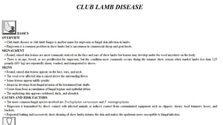 Blackwell's 5 Minute Veterinary Consult - Ruminant