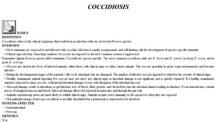 Blackwell's 5 Minute Veterinary Consult - Ruminant