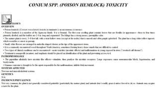 Blackwell's 5 Minute Veterinary Consult - Ruminant