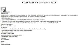 Blackwell's 5 Minute Veterinary Consult - Ruminant