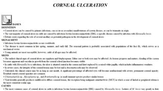 Blackwell's 5 Minute Veterinary Consult - Ruminant