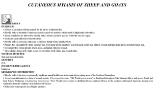 Blackwell's 5 Minute Veterinary Consult - Ruminant