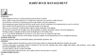 Blackwell's 5 Minute Veterinary Consult - Ruminant