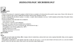 Blackwell's 5 Minute Veterinary Consult - Ruminant