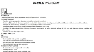 Blackwell's 5 Minute Veterinary Consult - Ruminant