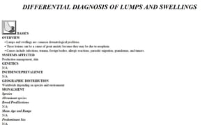 Blackwell's 5 Minute Veterinary Consult - Ruminant