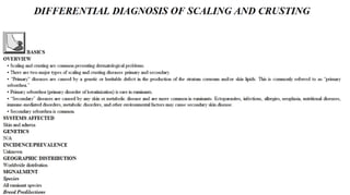 Blackwell's 5 Minute Veterinary Consult - Ruminant