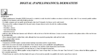 Blackwell's 5 Minute Veterinary Consult - Ruminant