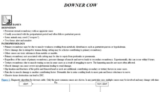 Blackwell's 5 Minute Veterinary Consult - Ruminant