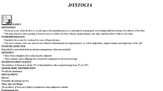 Blackwell's 5 Minute Veterinary Consult - Ruminant