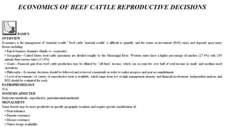 Blackwell's 5 Minute Veterinary Consult - Ruminant