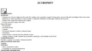 Blackwell's 5 Minute Veterinary Consult - Ruminant