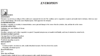 Blackwell's 5 Minute Veterinary Consult - Ruminant