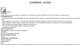 Blackwell's 5 Minute Veterinary Consult - Ruminant