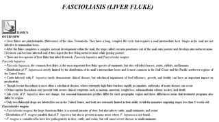 Blackwell's 5 Minute Veterinary Consult - Ruminant