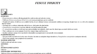 Blackwell's 5 Minute Veterinary Consult - Ruminant