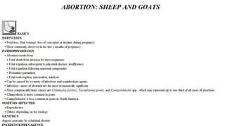 Blackwell's 5 Minute Veterinary Consult - Ruminant