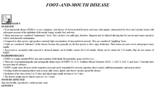 Blackwell's 5 Minute Veterinary Consult - Ruminant