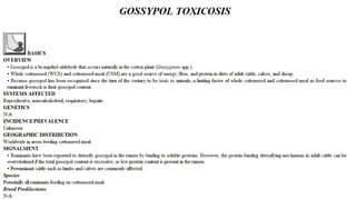 Blackwell's 5 Minute Veterinary Consult - Ruminant