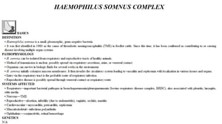 Blackwell's 5 Minute Veterinary Consult - Ruminant